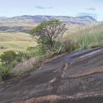 The end of the Tampoketsa of Ankazobe, along the road to Mahajanga